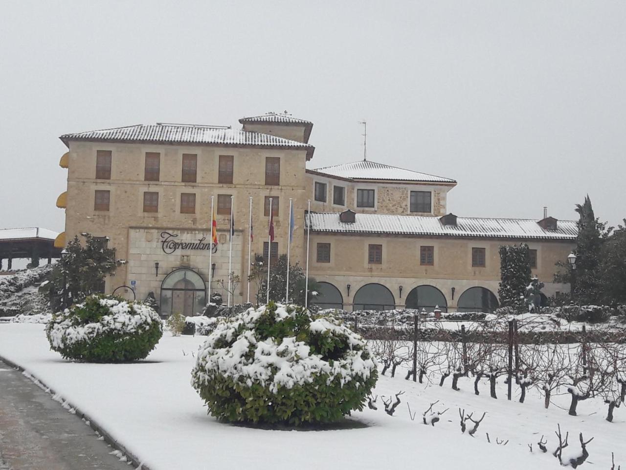 Hotel Torremilanos Aranda de Duero Exterior foto